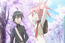 Seto no Hanayome ovas